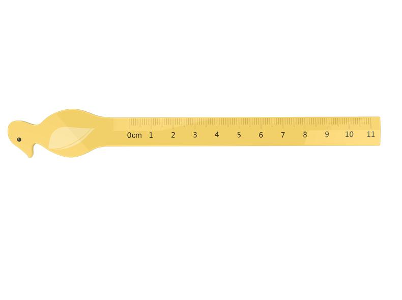 The bird ruler
